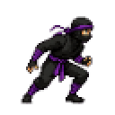 Ninja